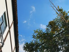 -寻味乌镇·龙虾烧烤