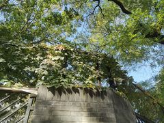 -北京第二实验小学