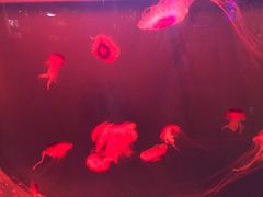 -华夏文旅西安度假区