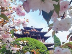 -西安青龙寺遗址景区