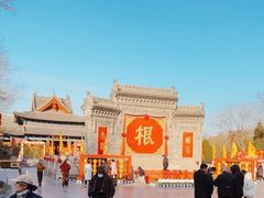-大槐树寻根祭祖园