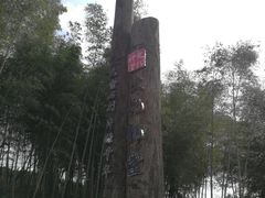 -许家山