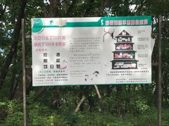 -帽儿山国家森林公园