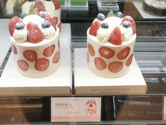 -罗森尼娜(解放西路店)