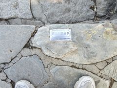 -香山公园