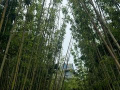 -金鸡湖桃花岛