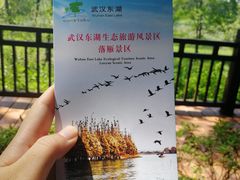 -东湖落雁景区