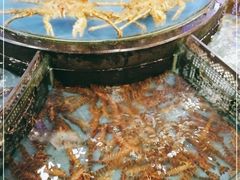 -东湖国际大酒店叠石酒楼