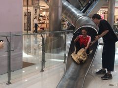 -巴黎春天(浦建店)