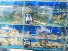 水产区-小船渔村•大连菜•大连焖鱼(明泽街店)