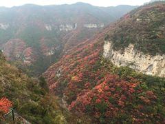 -黄花溪