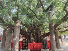 -浮来山风景区