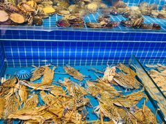 水产区-乔哥铭洋海鲜自助(皇城恒隆广场店)