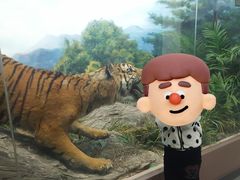 -国家自然博物馆