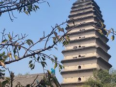 -西安博物院