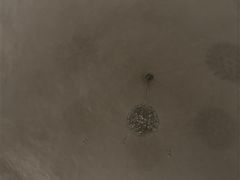 -水善汇都市汗蒸(杨浦区五角场店)