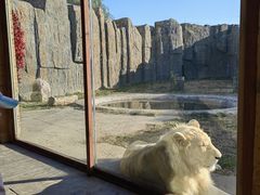 -齐齐哈尔龙沙动植物园
