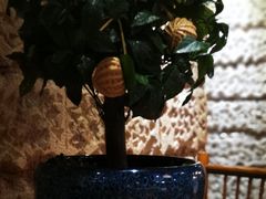 -云来居素食馆(南山店)