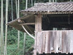-林坑古村落