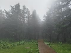 -芦芽山旅游度假区