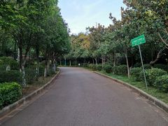 -月牙潭公园