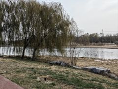 -马家湾湿地公园