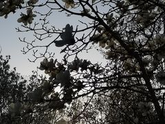 -雍和宫(地铁站)