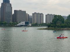 -金沙湖公园