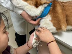 -酷宠动物医院(天通西苑店)