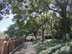 -成都市活水公园