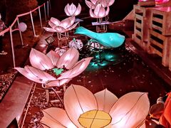 -武汉园博园(武汉自然博物馆)