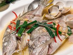 -金成潮菜博物馆(海珠湿地店)