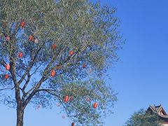 -河东池盐文化博览园