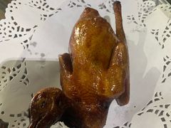 -石岐乳鸽村(南海第三分店)