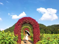 -广州市石门国家森林公园