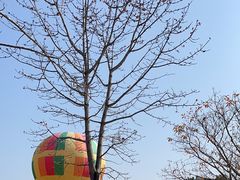 -中国科学院西双版纳热带植物园