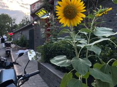 -伊隆斋(什刹海店)