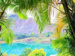 -水濂山森林公园