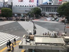 -涩谷全向十字路口