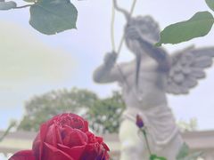 -文华公园(禅城区)