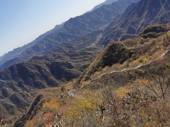 -大岭沟猕猴桃谷风景区