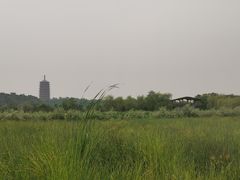 -永定河休闲森林公园