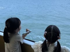 -澳门环岛游湾仔码头