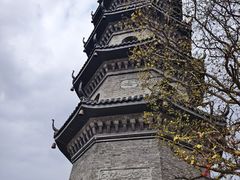 -冶父山国家森林公园