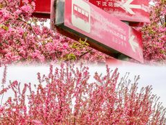 -北京奥林匹克公园
