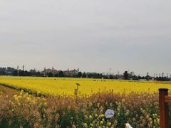 -中国天府农业博览园