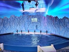 -珠海长隆海洋王国