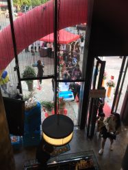 -红钻石(明日星城店)