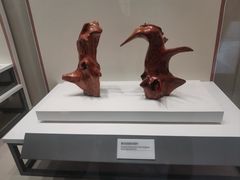 -海口市博物馆