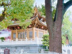 -上海东林寺(金山区)